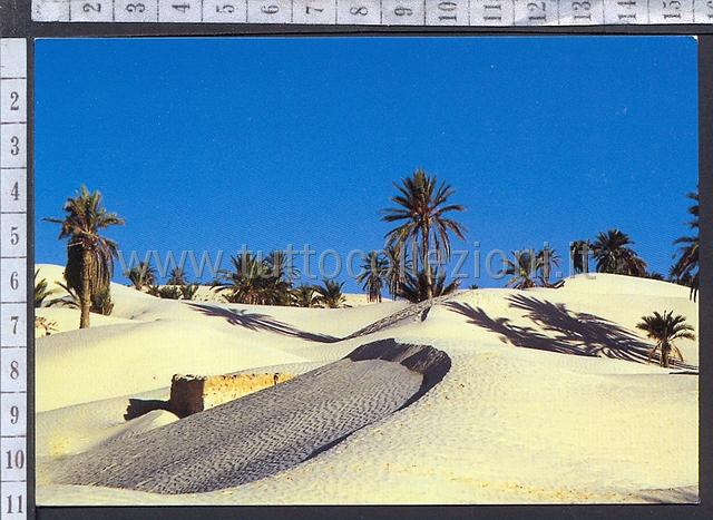 Collezionismo di cartoline postali della tunisia
